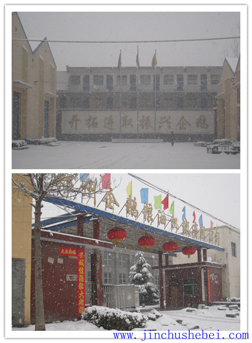 浸出油設(shè)備，預(yù)榨浸出生產(chǎn)線，榨油設(shè)備，精煉設(shè)備