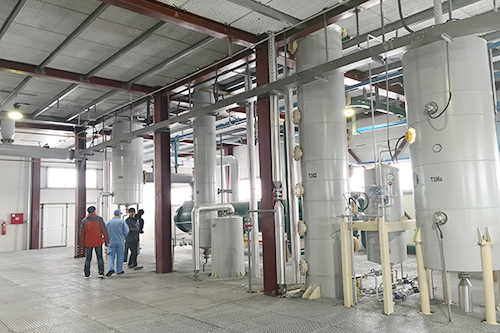 年關(guān)將至，鄭州企鵝喜迎埃塞俄比亞客戶(hù)！